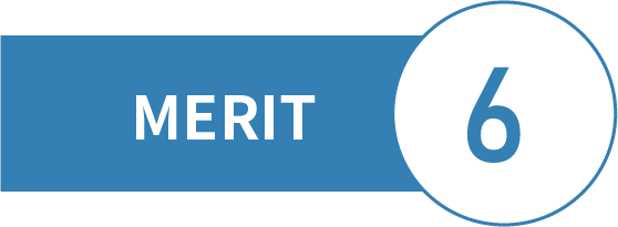 MERIT6