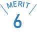 MERIT 6